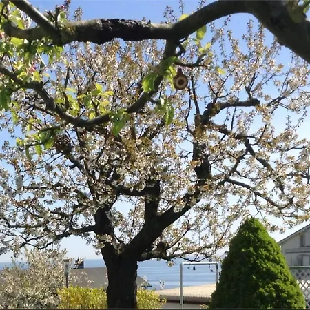 In Der Altstadt Von Sassnitz