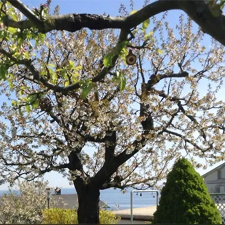 In Der Altstadt Von Sassnitz